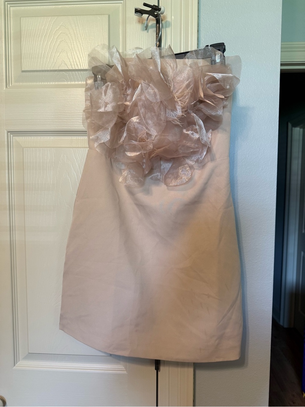 Strapless Blush Floral Appliqué Dress